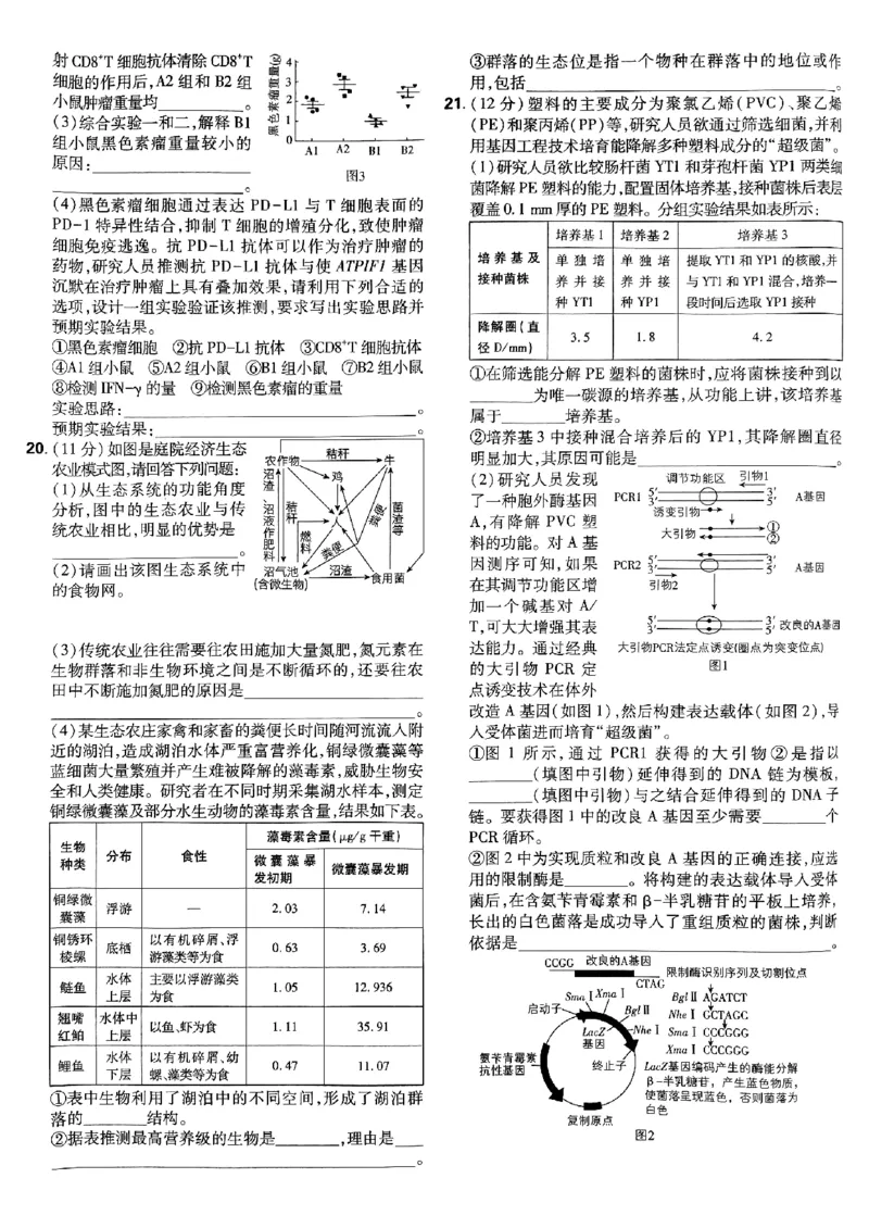 2025高考必刷卷42套生物新高考版_《2025高考必刷卷》_生物
