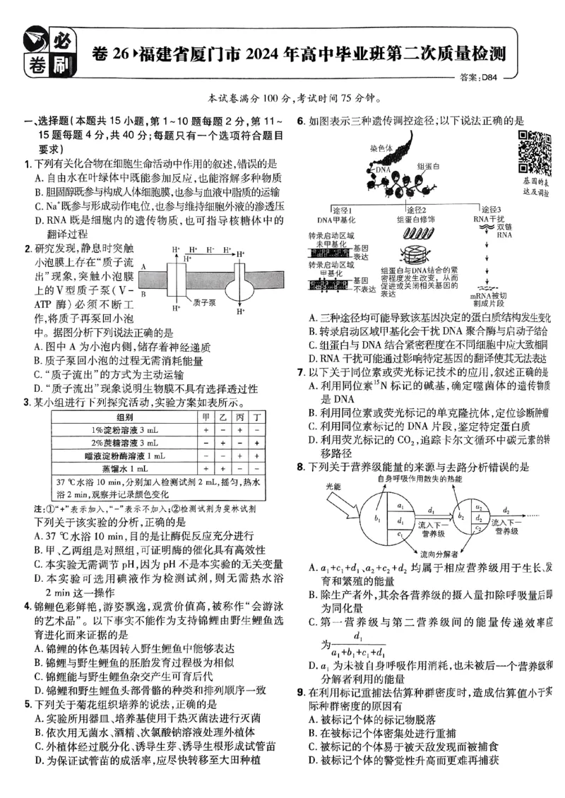 2025高考必刷卷42套生物新高考版_《2025高考必刷卷》_生物