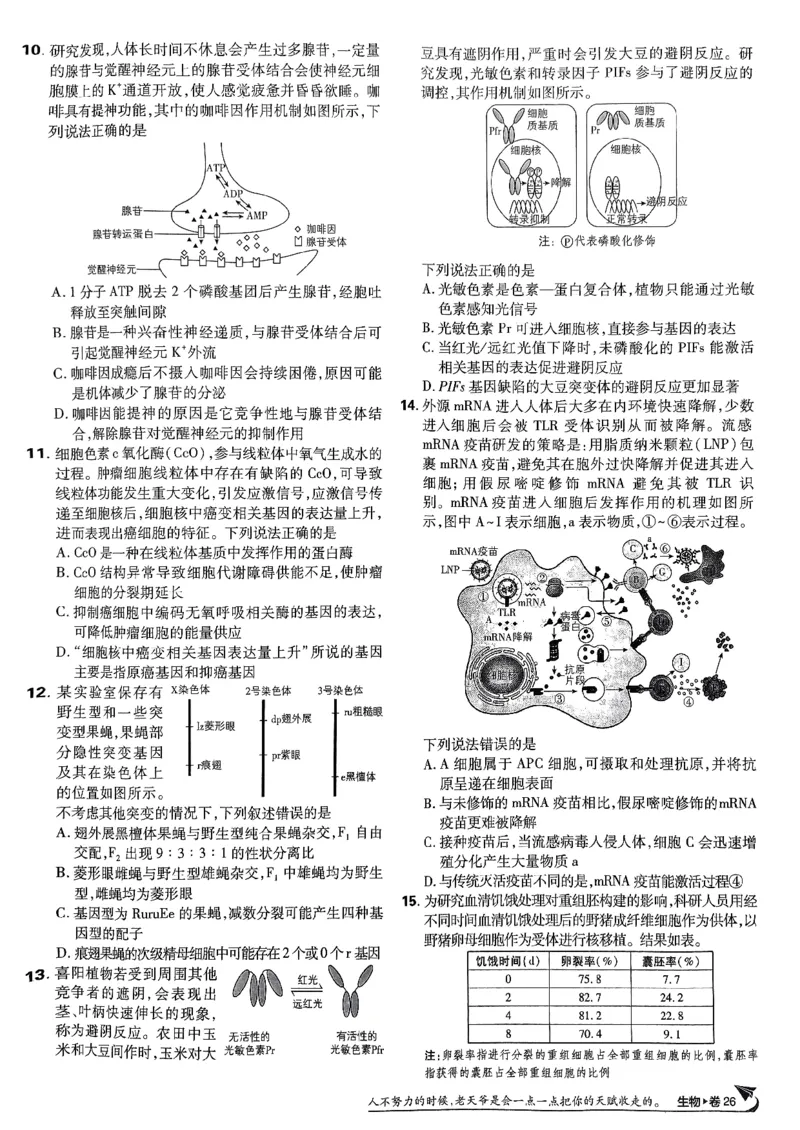 2025高考必刷卷42套生物新高考版_《2025高考必刷卷》_生物