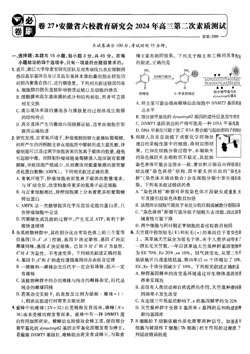 2025高考必刷卷42套生物新高考版_《2025高考必刷卷》_生物