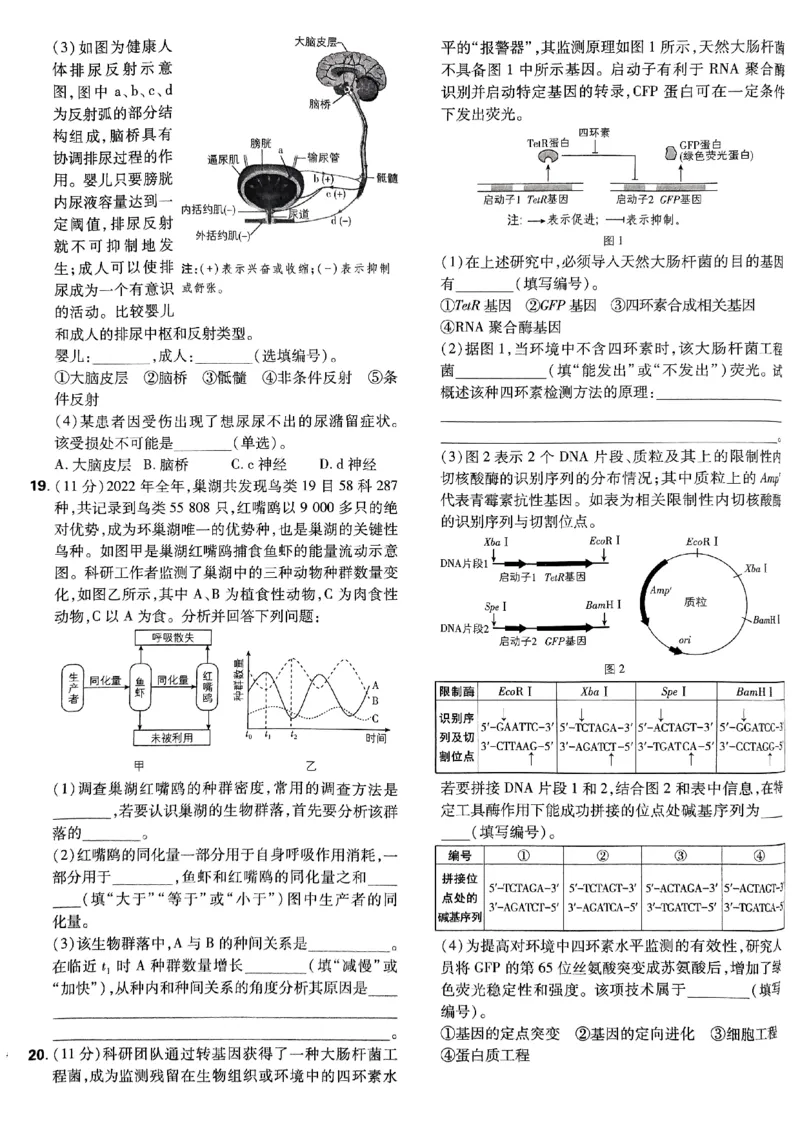 2025高考必刷卷42套生物新高考版_《2025高考必刷卷》_生物
