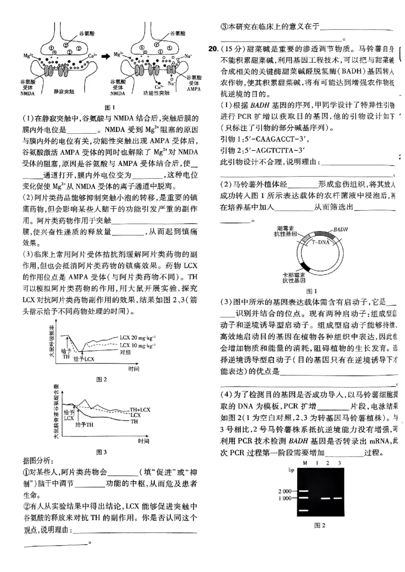 2025高考必刷卷42套生物新高考版_《2025高考必刷卷》_生物