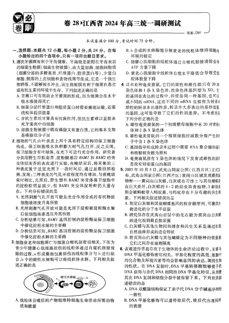 2025高考必刷卷42套生物新高考版_《2025高考必刷卷》_生物