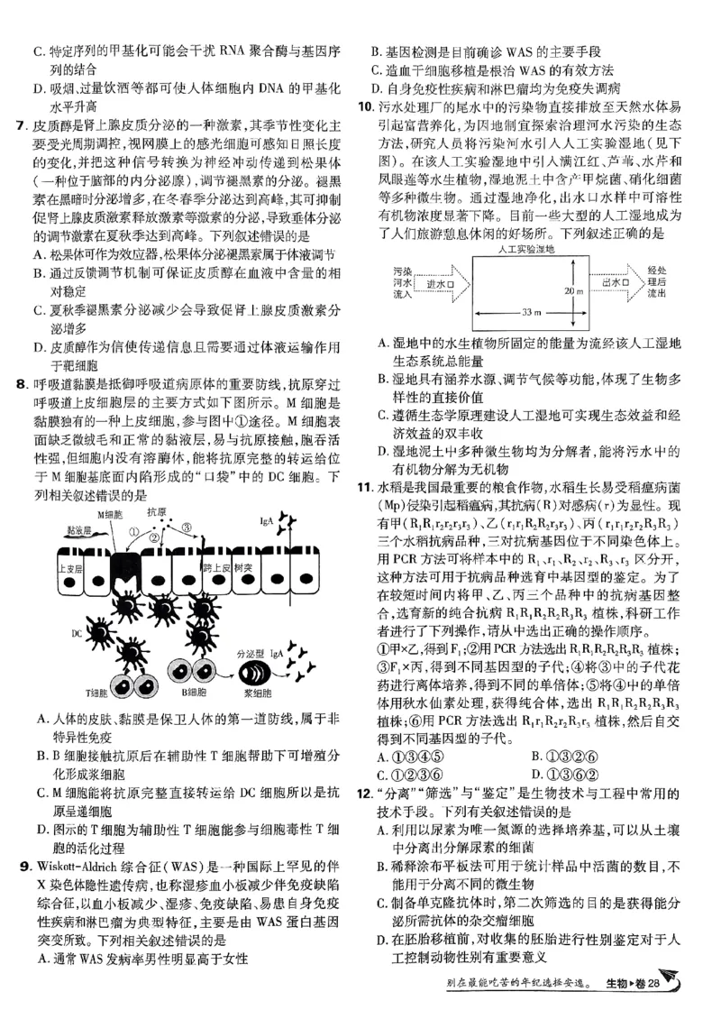 2025高考必刷卷42套生物新高考版_《2025高考必刷卷》_生物