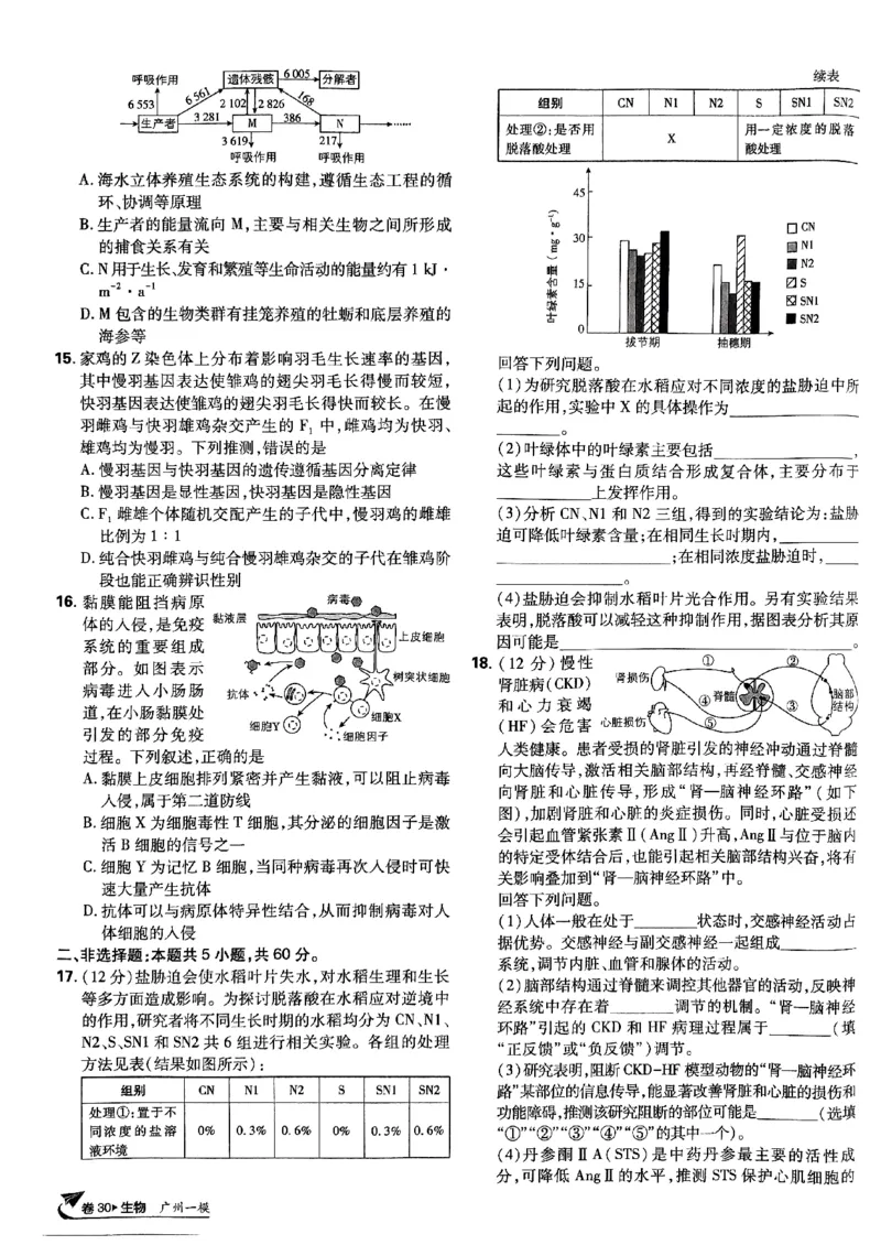 2025高考必刷卷42套生物新高考版_《2025高考必刷卷》_生物
