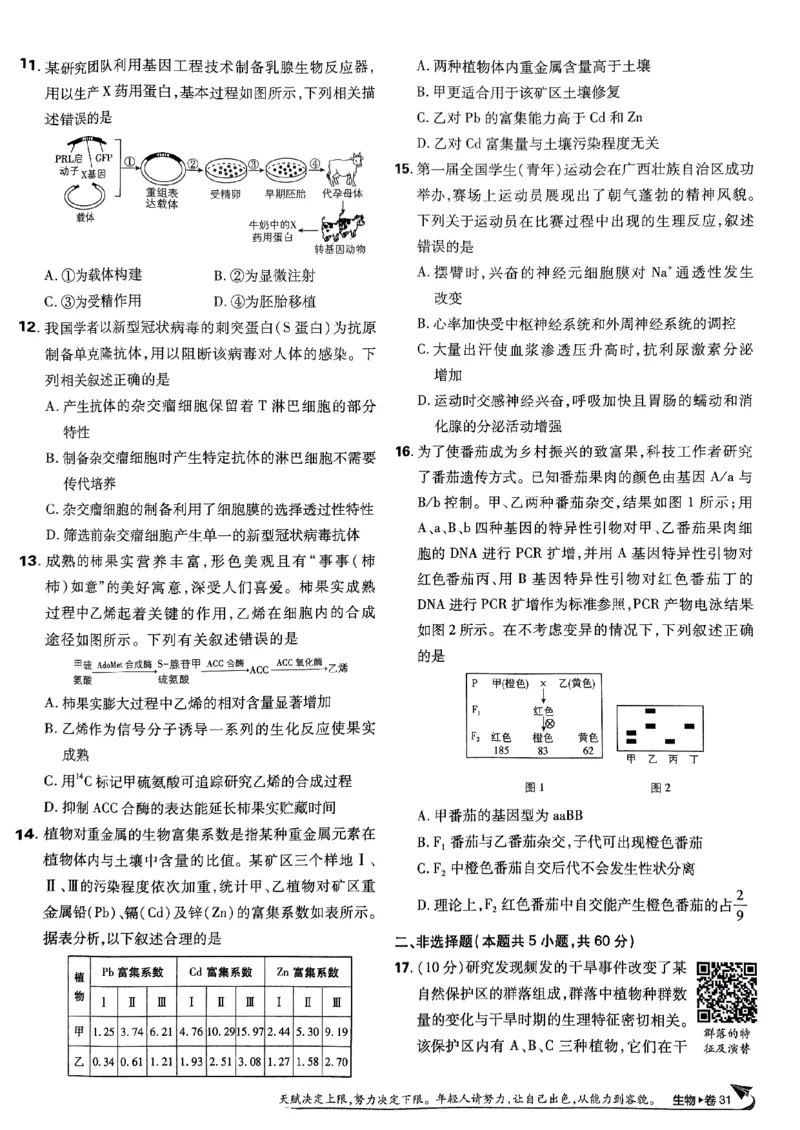2025高考必刷卷42套生物新高考版_《2025高考必刷卷》_生物