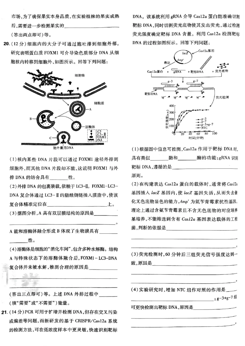 2025高考必刷卷42套生物新高考版_《2025高考必刷卷》_生物