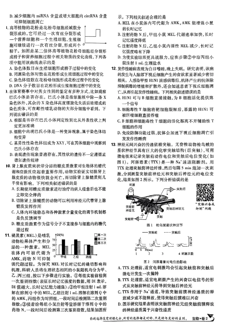2025高考必刷卷42套生物新高考版_《2025高考必刷卷》_生物
