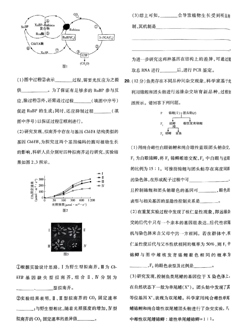 2025高考必刷卷42套生物新高考版_《2025高考必刷卷》_生物