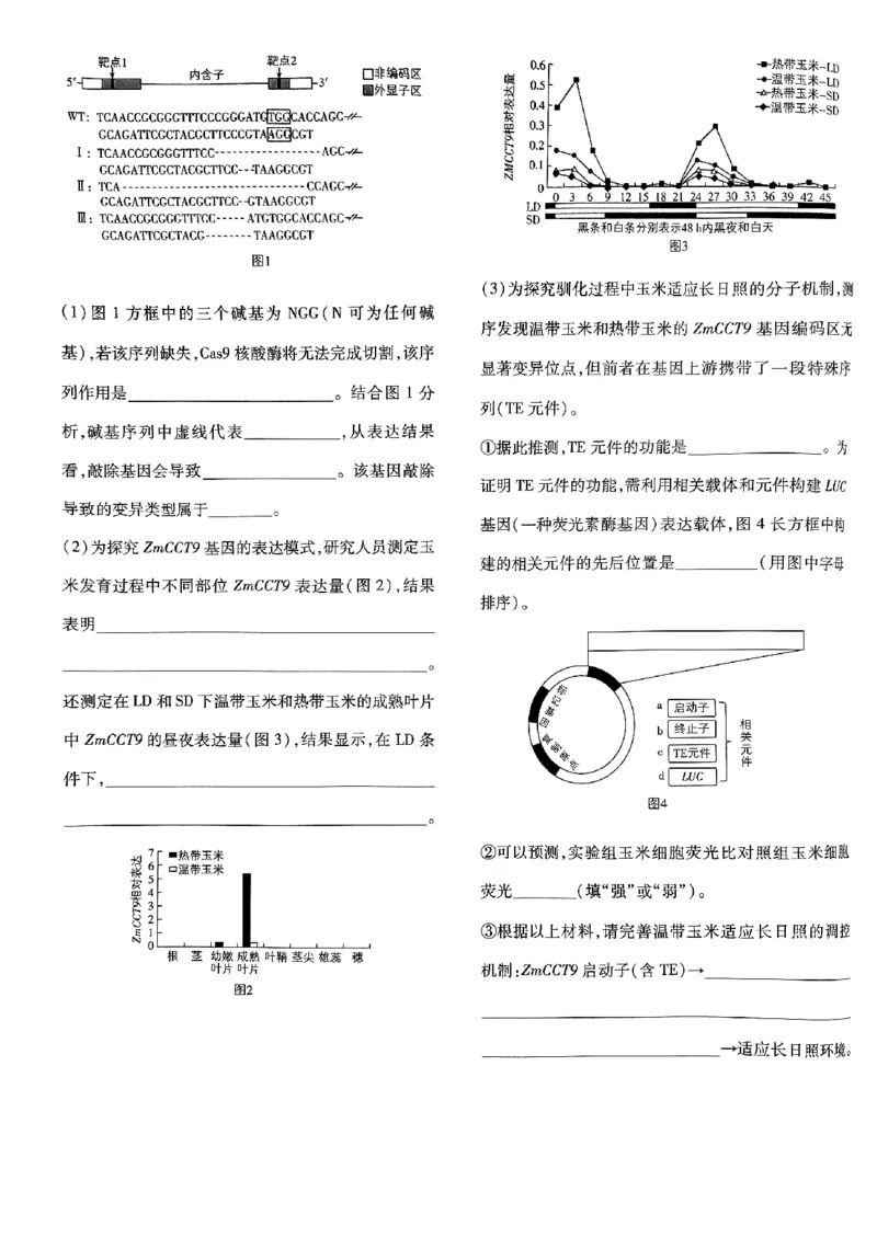2025高考必刷卷42套生物新高考版_《2025高考必刷卷》_生物