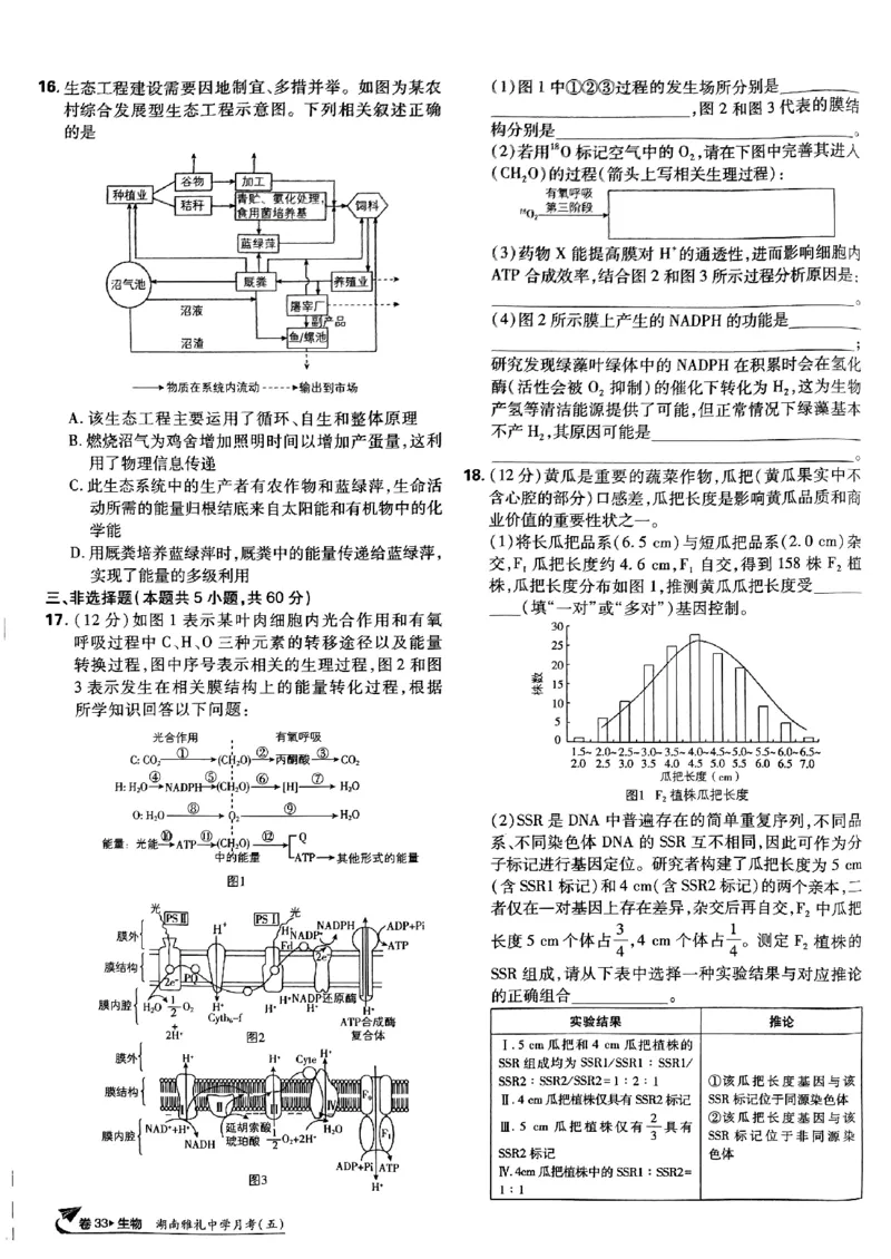 2025高考必刷卷42套生物新高考版_《2025高考必刷卷》_生物