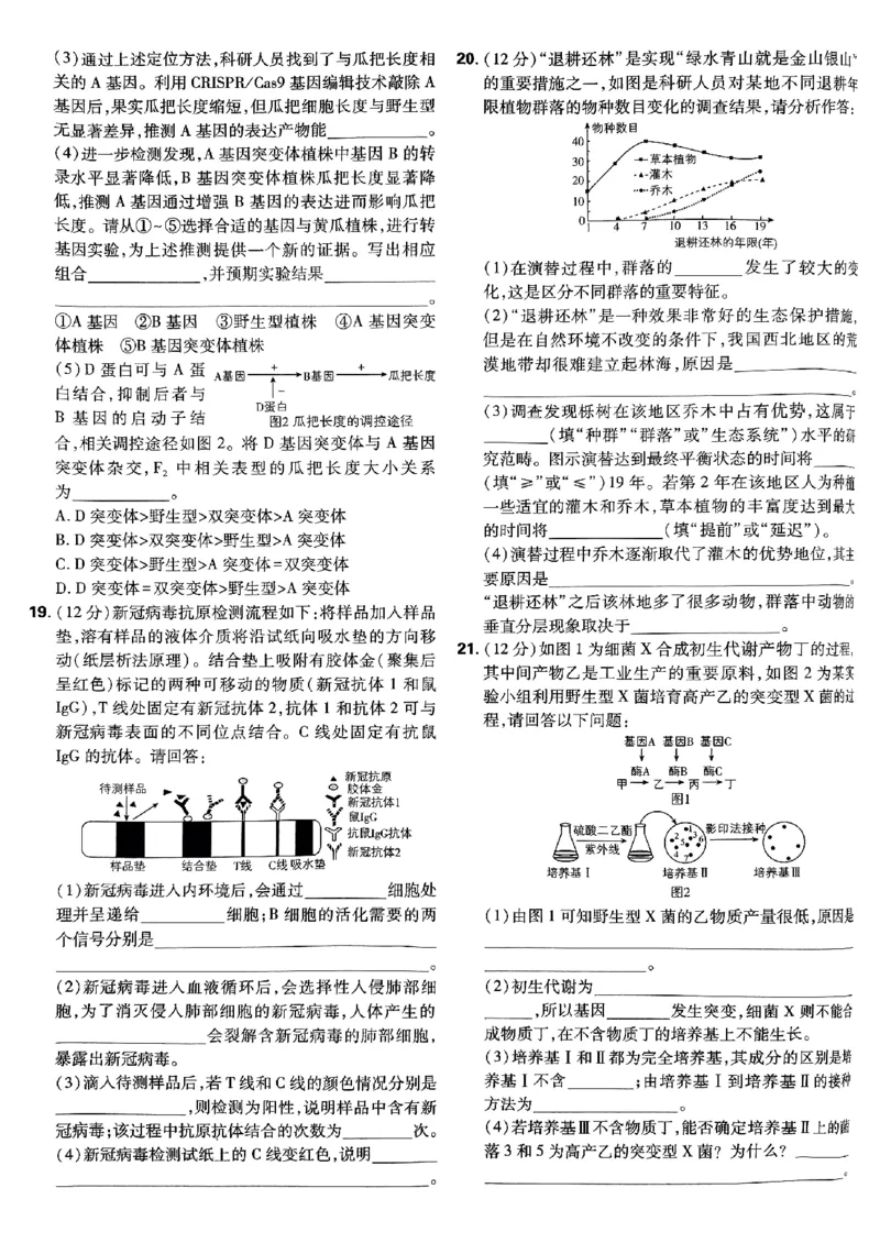 2025高考必刷卷42套生物新高考版_《2025高考必刷卷》_生物