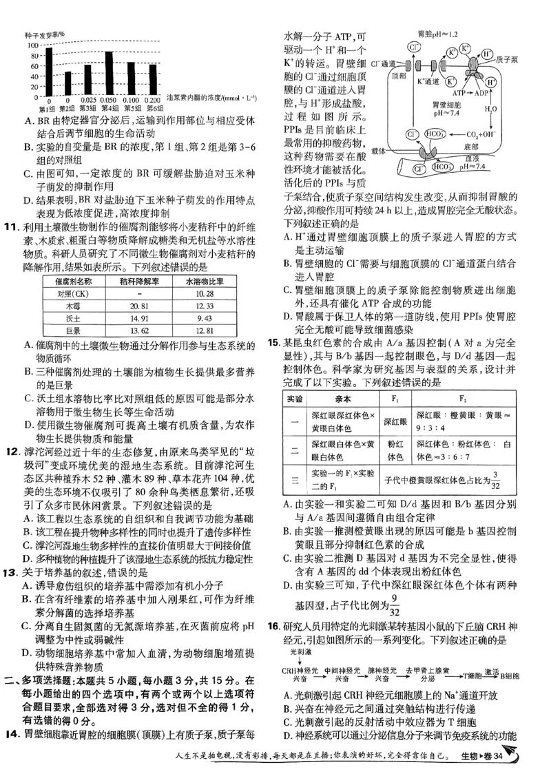 2025高考必刷卷42套生物新高考版_《2025高考必刷卷》_生物