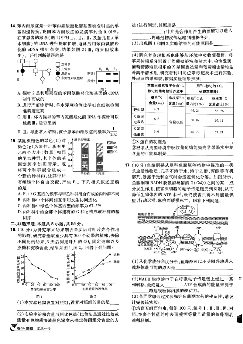 2025高考必刷卷42套生物新高考版_《2025高考必刷卷》_生物