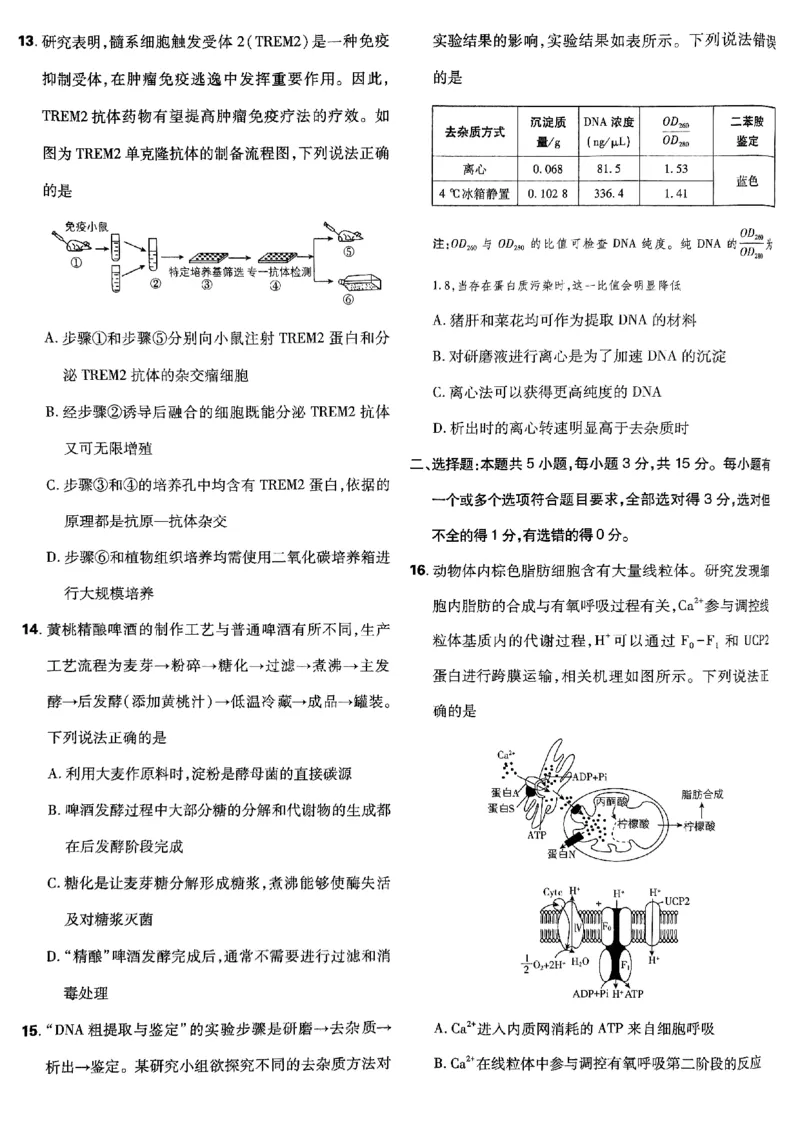 2025高考必刷卷42套生物新高考版_《2025高考必刷卷》_生物