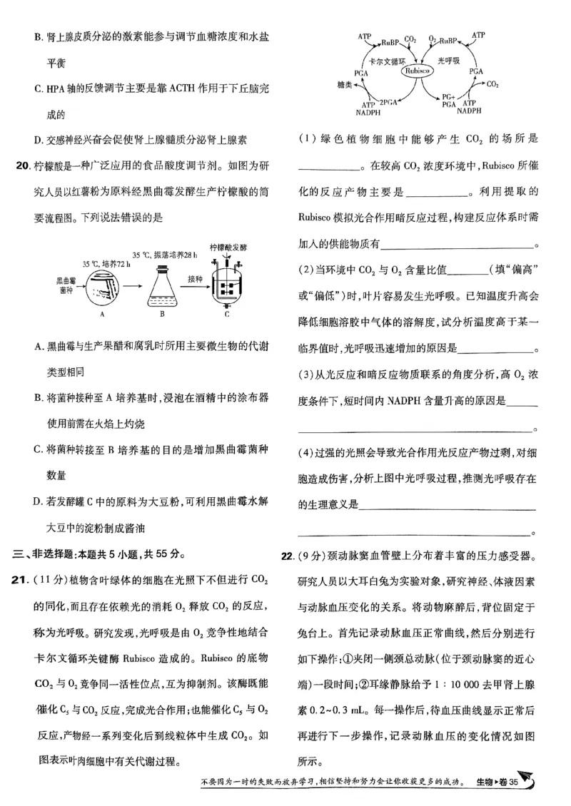2025高考必刷卷42套生物新高考版_《2025高考必刷卷》_生物