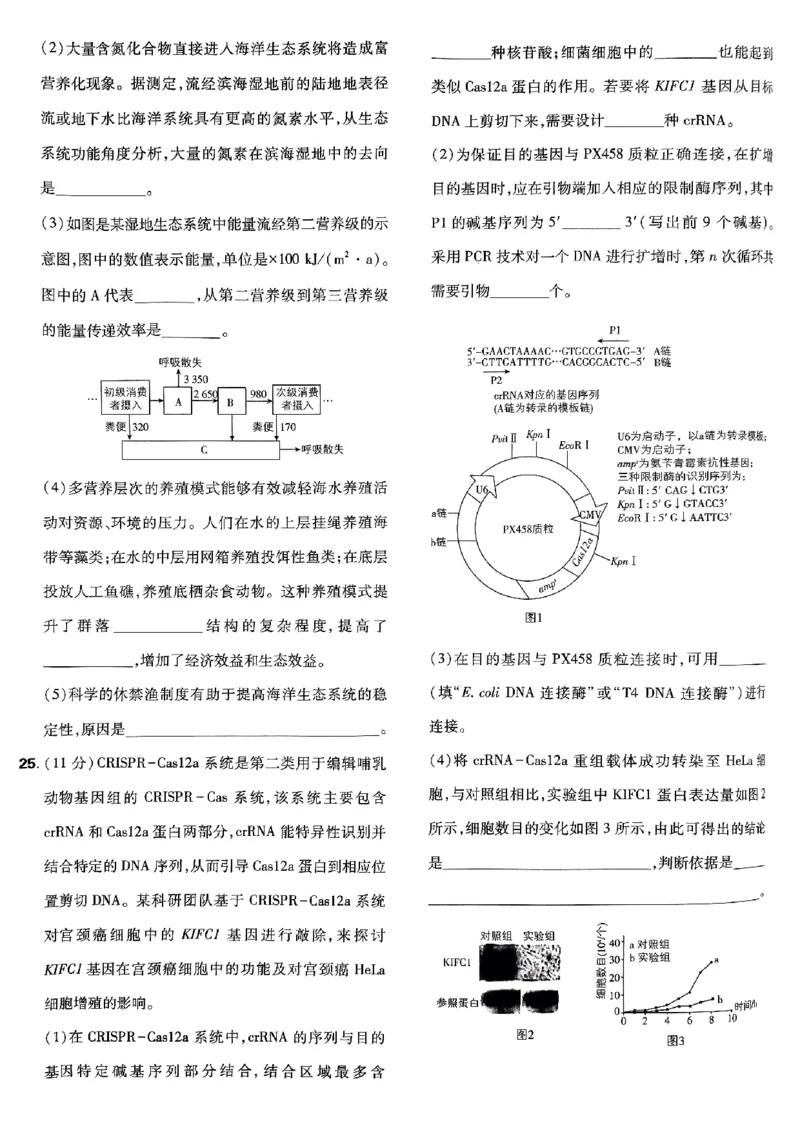 2025高考必刷卷42套生物新高考版_《2025高考必刷卷》_生物