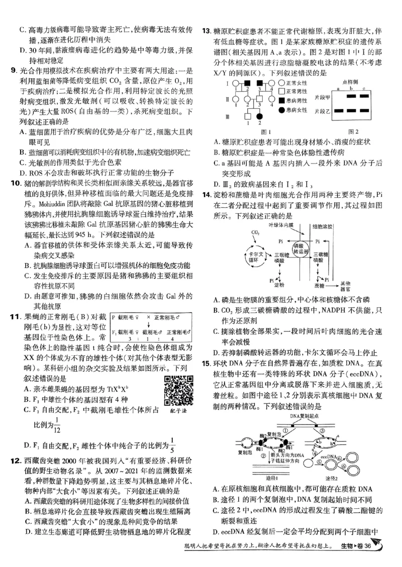 2025高考必刷卷42套生物新高考版_《2025高考必刷卷》_生物