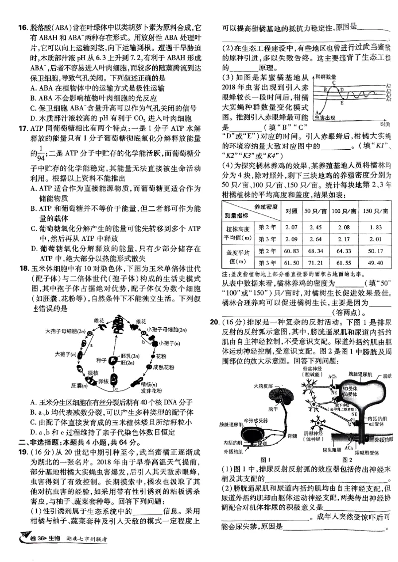 2025高考必刷卷42套生物新高考版_《2025高考必刷卷》_生物