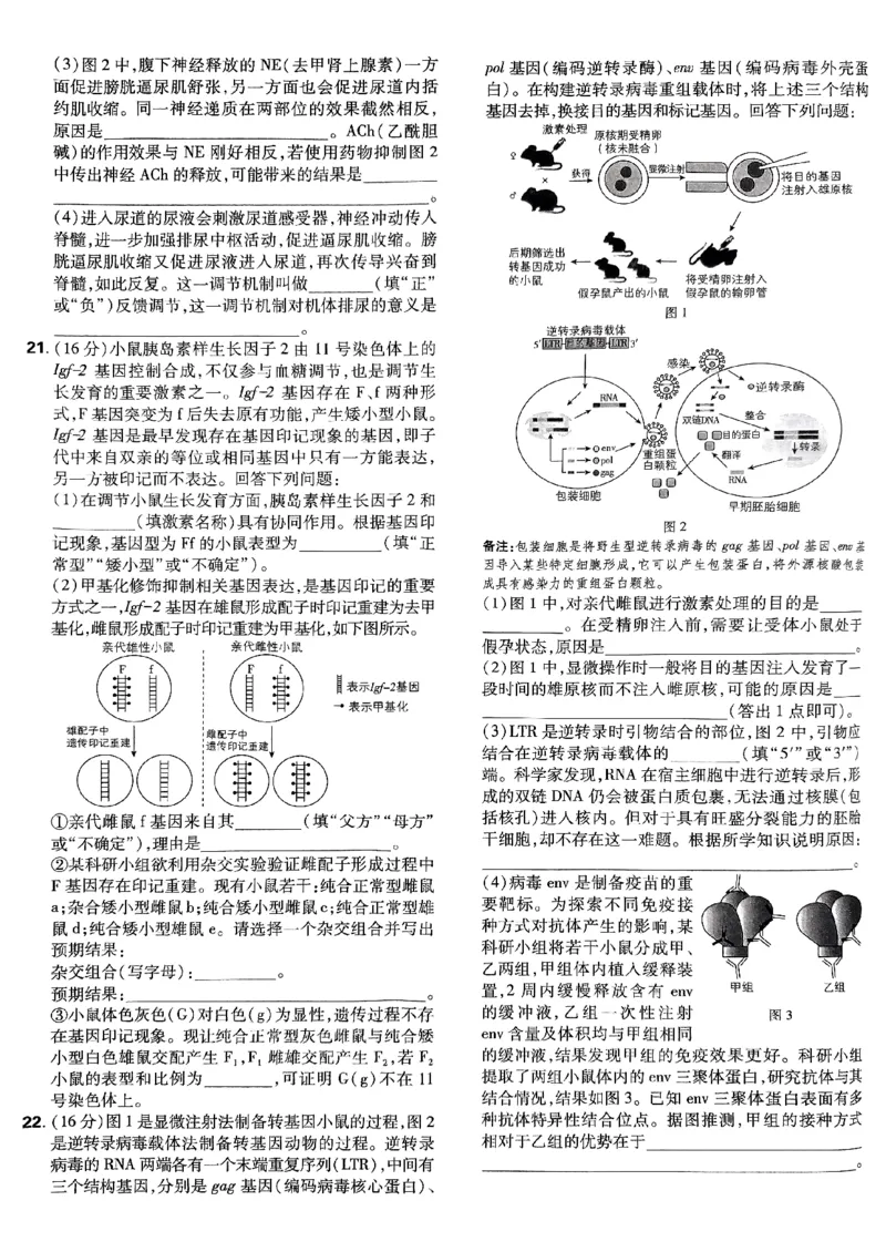 2025高考必刷卷42套生物新高考版_《2025高考必刷卷》_生物