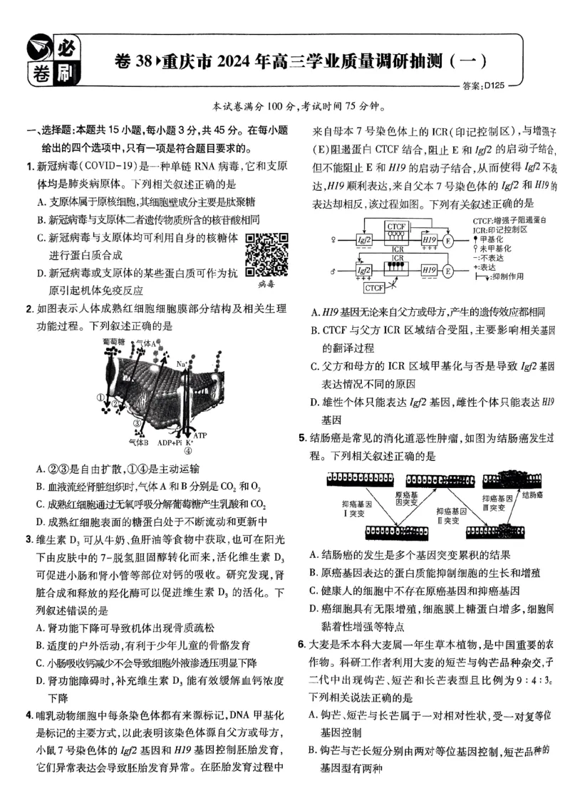 2025高考必刷卷42套生物新高考版_《2025高考必刷卷》_生物