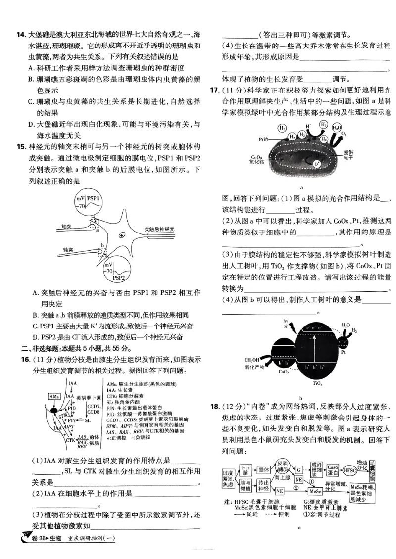 2025高考必刷卷42套生物新高考版_《2025高考必刷卷》_生物
