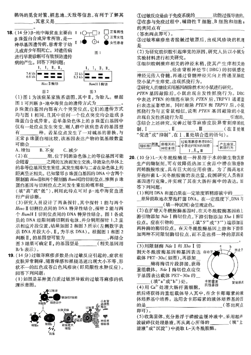 2025高考必刷卷42套生物新高考版_《2025高考必刷卷》_生物