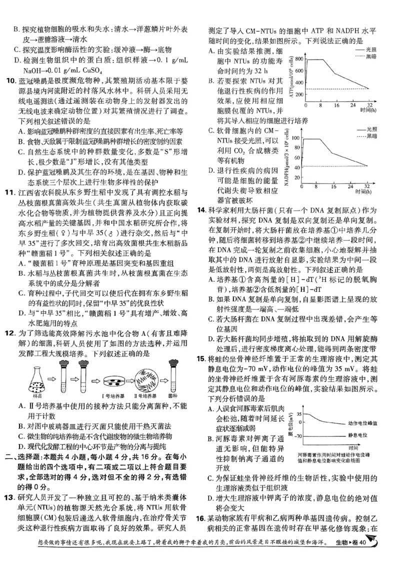 2025高考必刷卷42套生物新高考版_《2025高考必刷卷》_生物