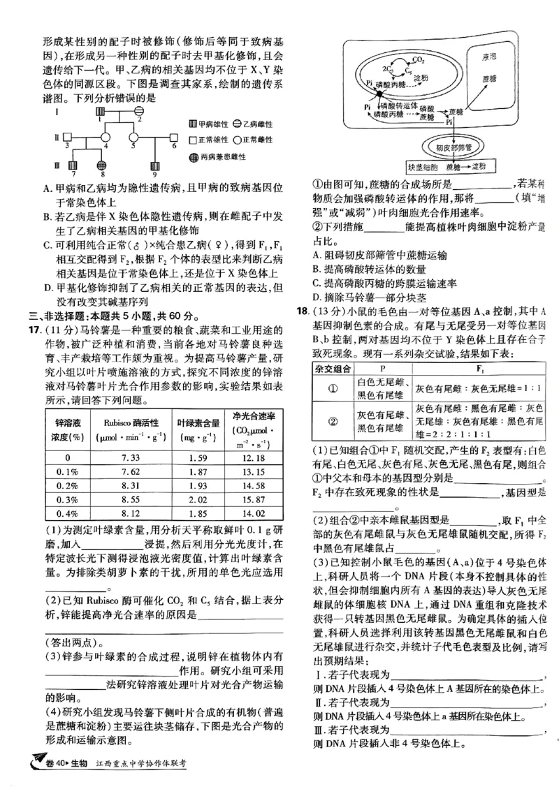 2025高考必刷卷42套生物新高考版_《2025高考必刷卷》_生物