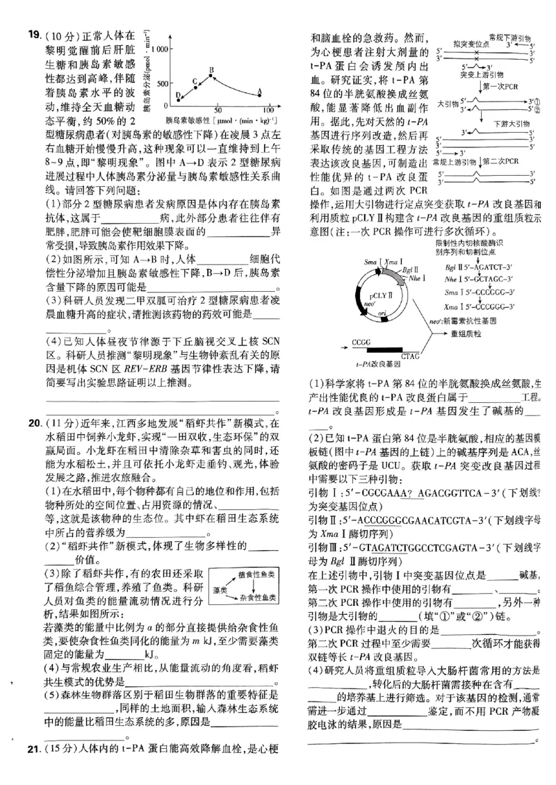 2025高考必刷卷42套生物新高考版_《2025高考必刷卷》_生物