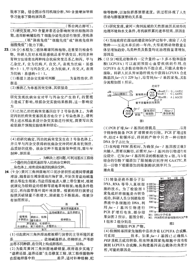 2025高考必刷卷42套生物新高考版_《2025高考必刷卷》_生物