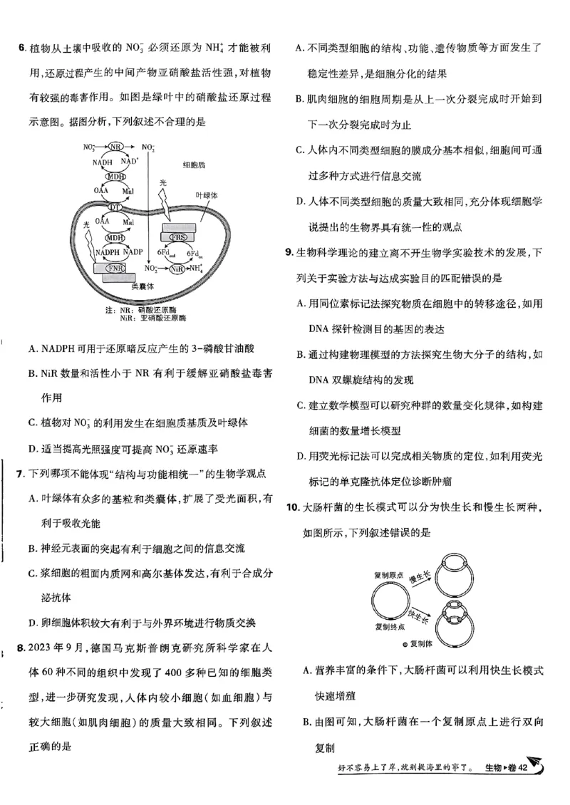 2025高考必刷卷42套生物新高考版_《2025高考必刷卷》_生物