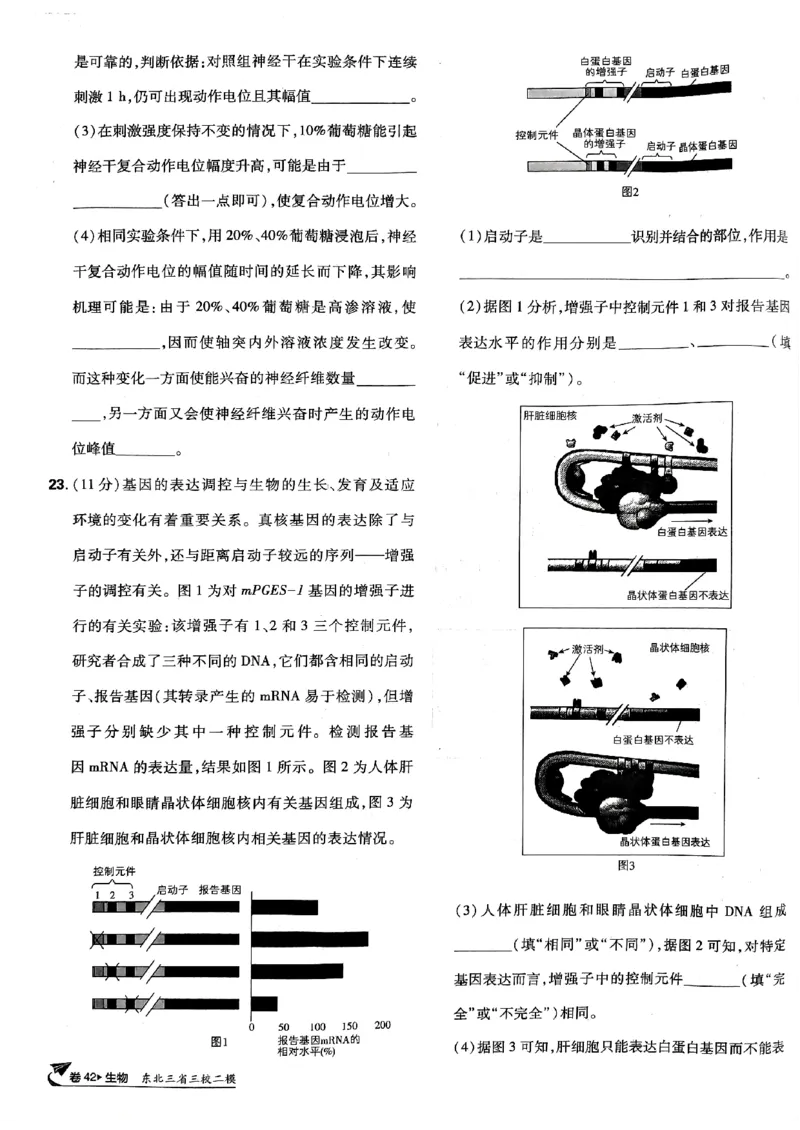 2025高考必刷卷42套生物新高考版_《2025高考必刷卷》_生物