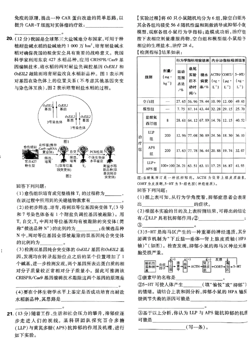 2025高考必刷卷42套生物新高考版_《2025高考必刷卷》_生物