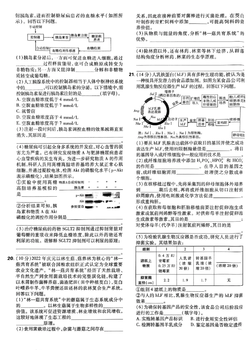 2025高考必刷卷42套生物新高考版_《2025高考必刷卷》_生物