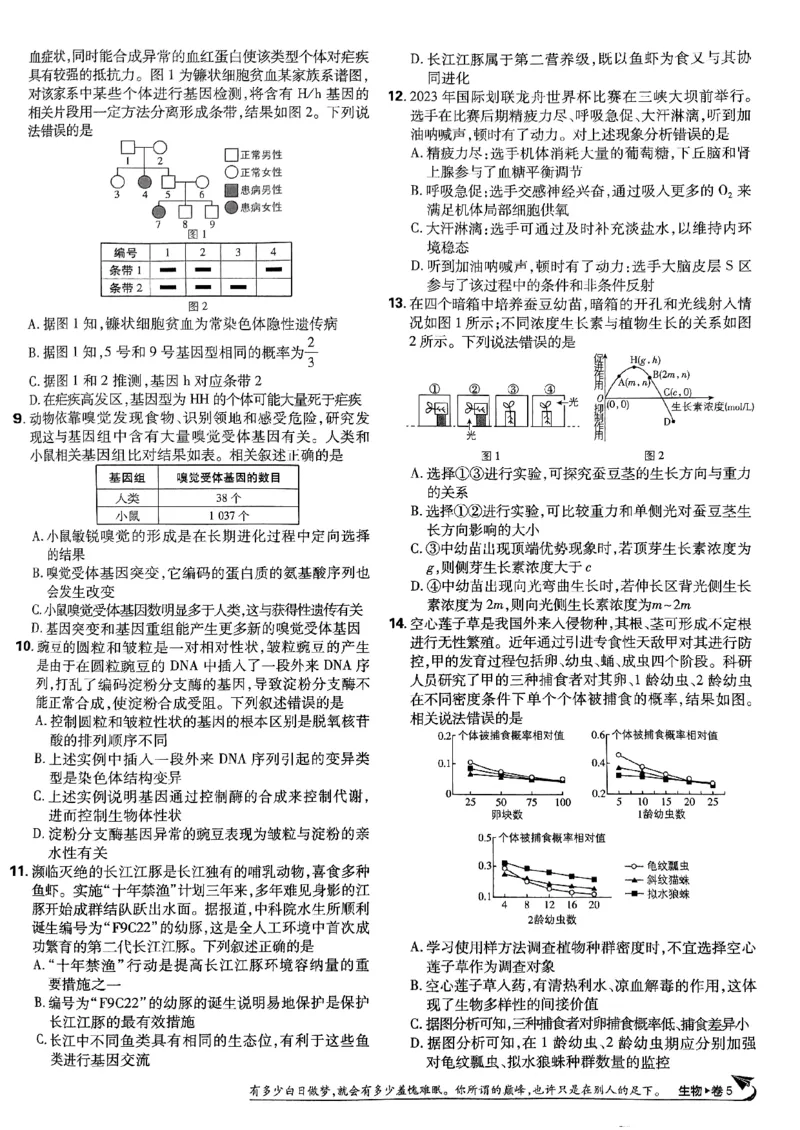 2025高考必刷卷42套生物新高考版_《2025高考必刷卷》_生物