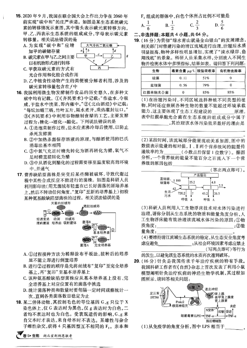 2025高考必刷卷42套生物新高考版_《2025高考必刷卷》_生物
