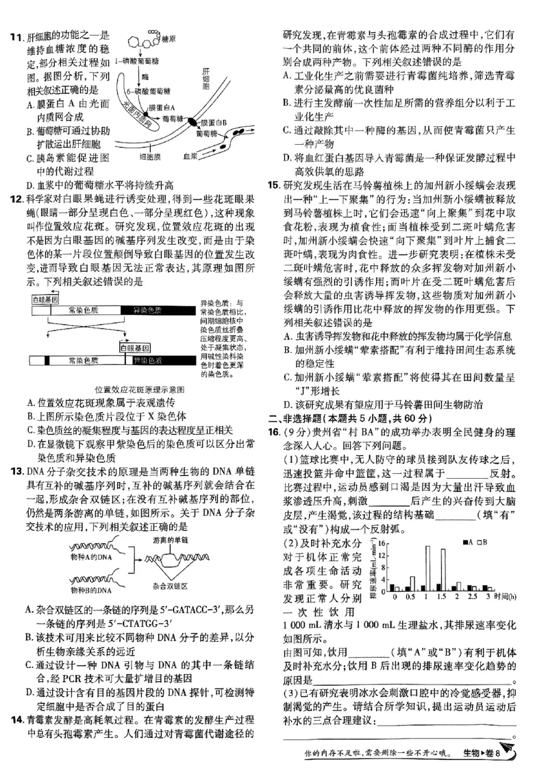 2025高考必刷卷42套生物新高考版_《2025高考必刷卷》_生物