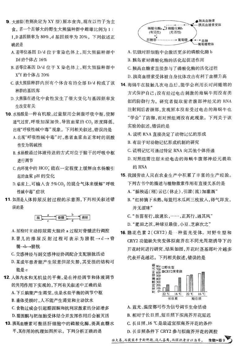 2025高考必刷卷42套生物新高考版_《2025高考必刷卷》_生物