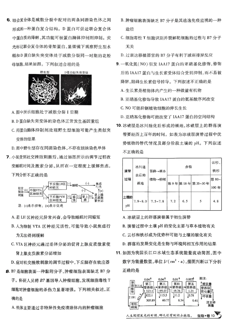 2025高考必刷卷42套生物新高考版_《2025高考必刷卷》_生物