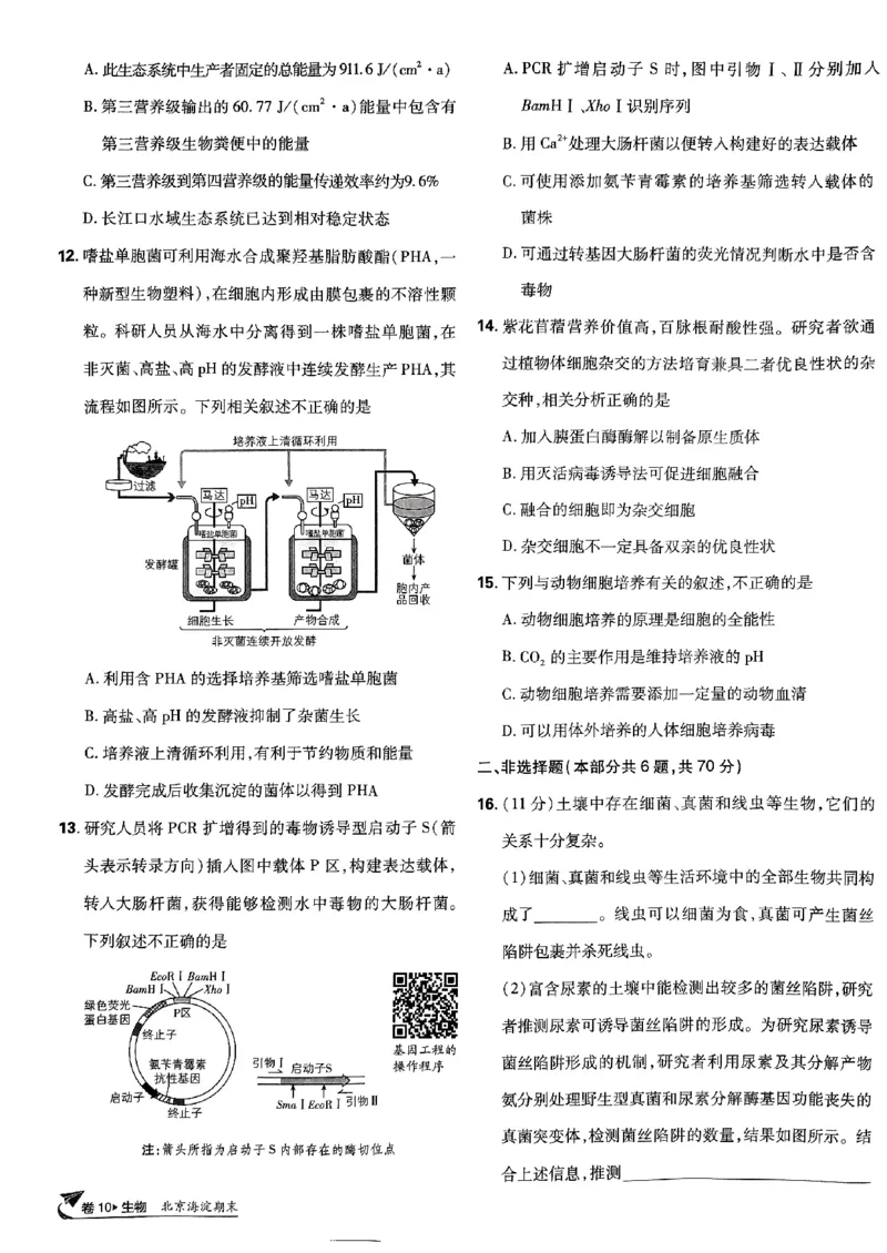 2025高考必刷卷42套生物新高考版_《2025高考必刷卷》_生物
