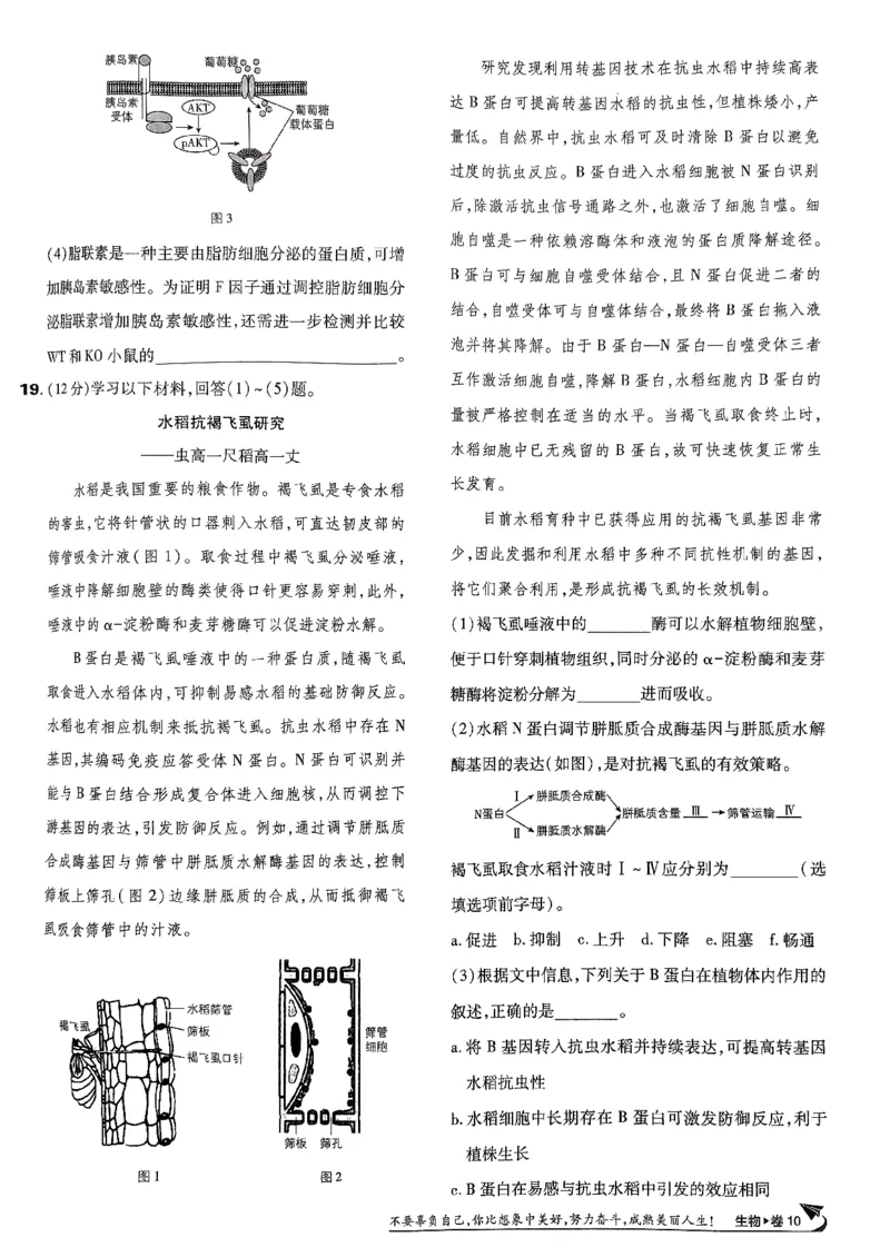 2025高考必刷卷42套生物新高考版_《2025高考必刷卷》_生物
