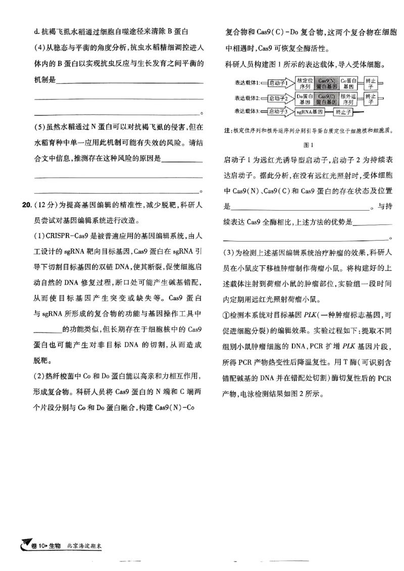 2025高考必刷卷42套生物新高考版_《2025高考必刷卷》_生物