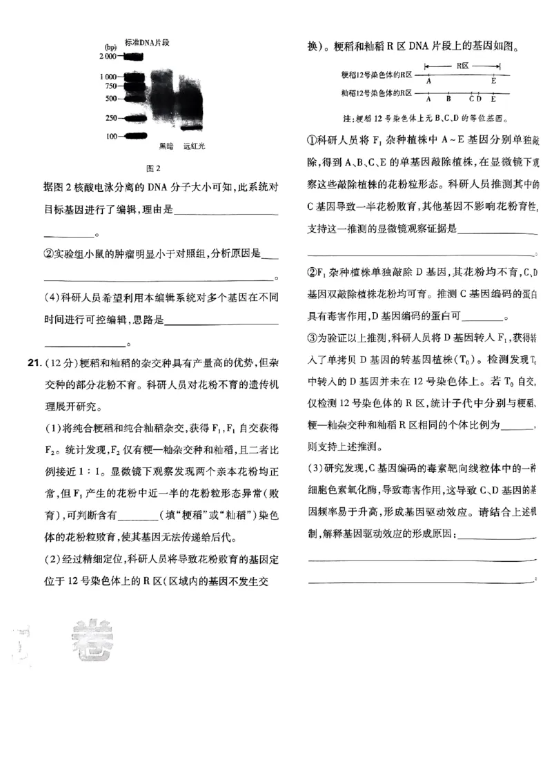 2025高考必刷卷42套生物新高考版_《2025高考必刷卷》_生物