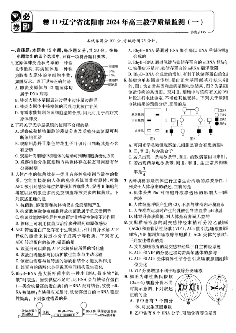 2025高考必刷卷42套生物新高考版_《2025高考必刷卷》_生物