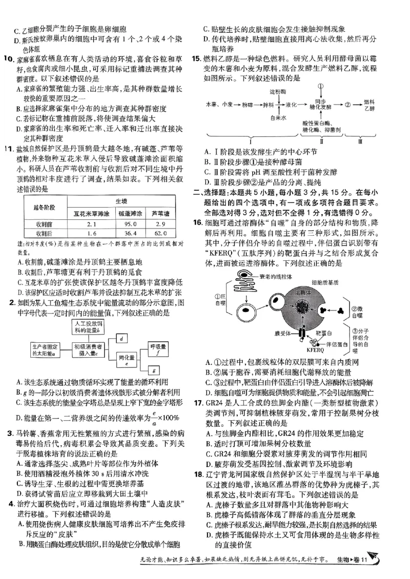 2025高考必刷卷42套生物新高考版_《2025高考必刷卷》_生物