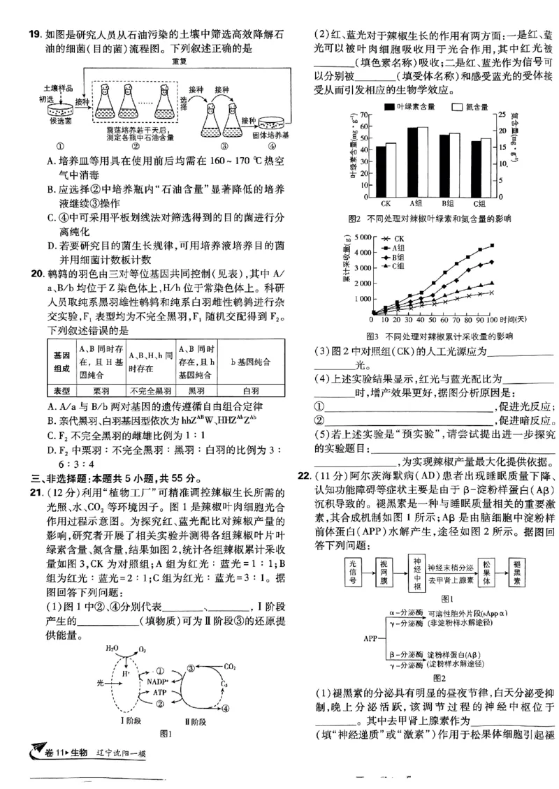 2025高考必刷卷42套生物新高考版_《2025高考必刷卷》_生物