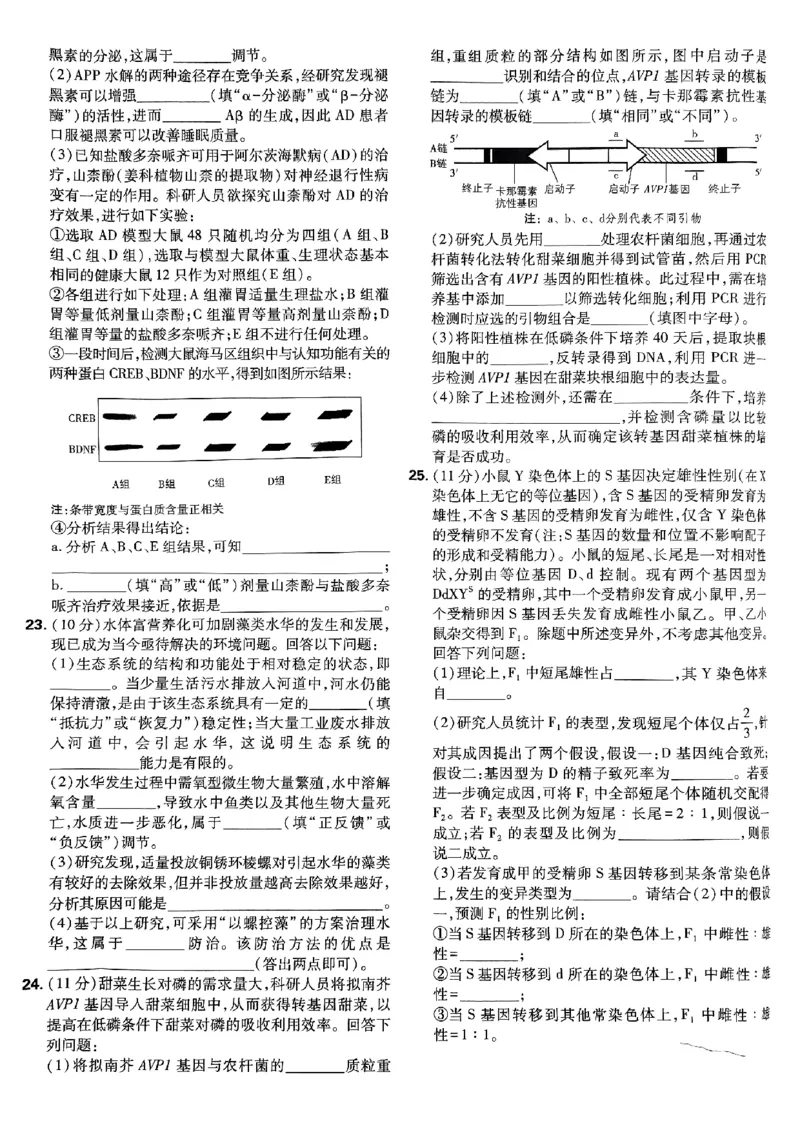 2025高考必刷卷42套生物新高考版_《2025高考必刷卷》_生物