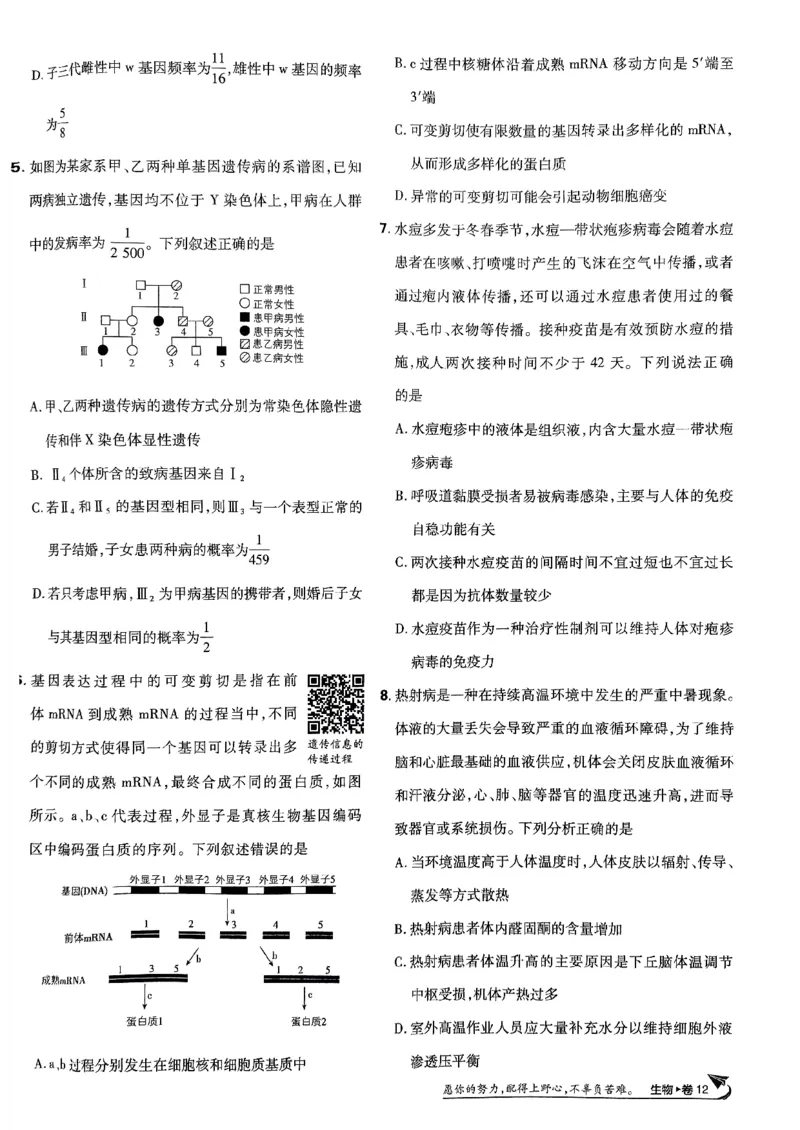 2025高考必刷卷42套生物新高考版_《2025高考必刷卷》_生物