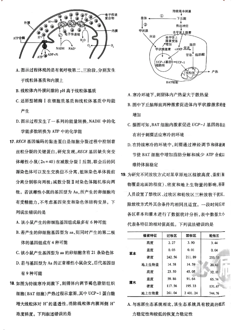 2025高考必刷卷42套生物新高考版_《2025高考必刷卷》_生物